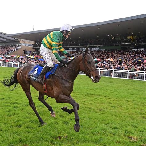 grand national places|Grand National 2024 result: Where your horse finished .